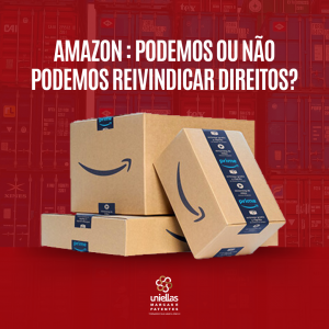 Amazon: podemos ou não reivindicar direitos?